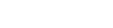 The Forest of Mirrors
Gallery