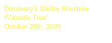 Discovery’s Shirley Bovshow
“Majestic Tree”
October 26th, 2009